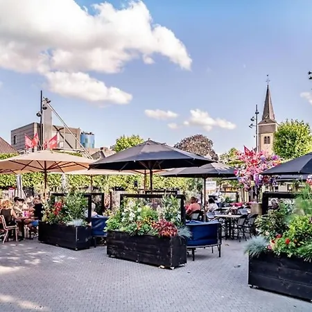 Дом отдыха June Rosy