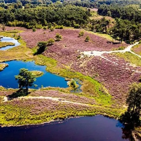 June Rosy Вейхен